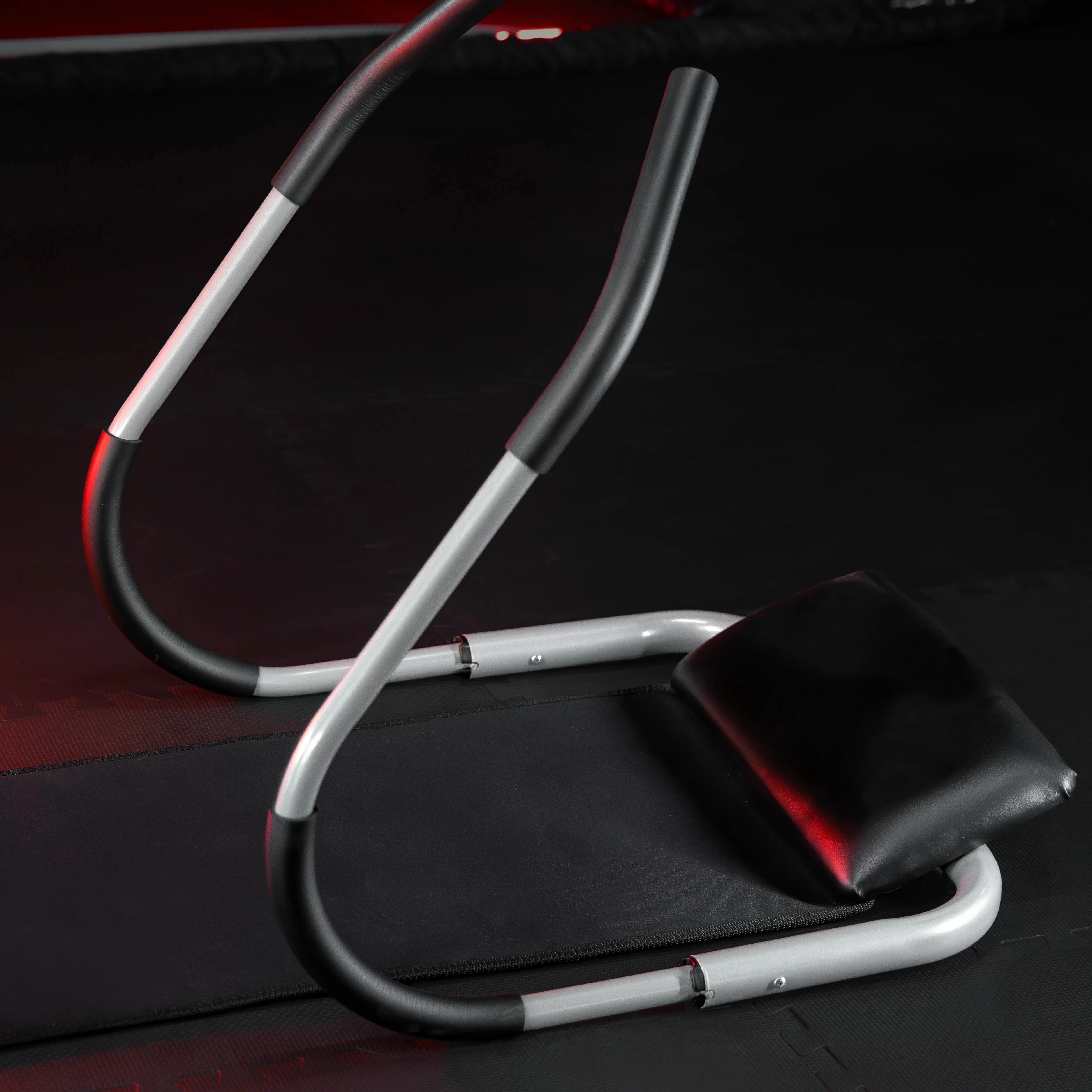 Ab Roller mit Trainingsmatte - Image 3