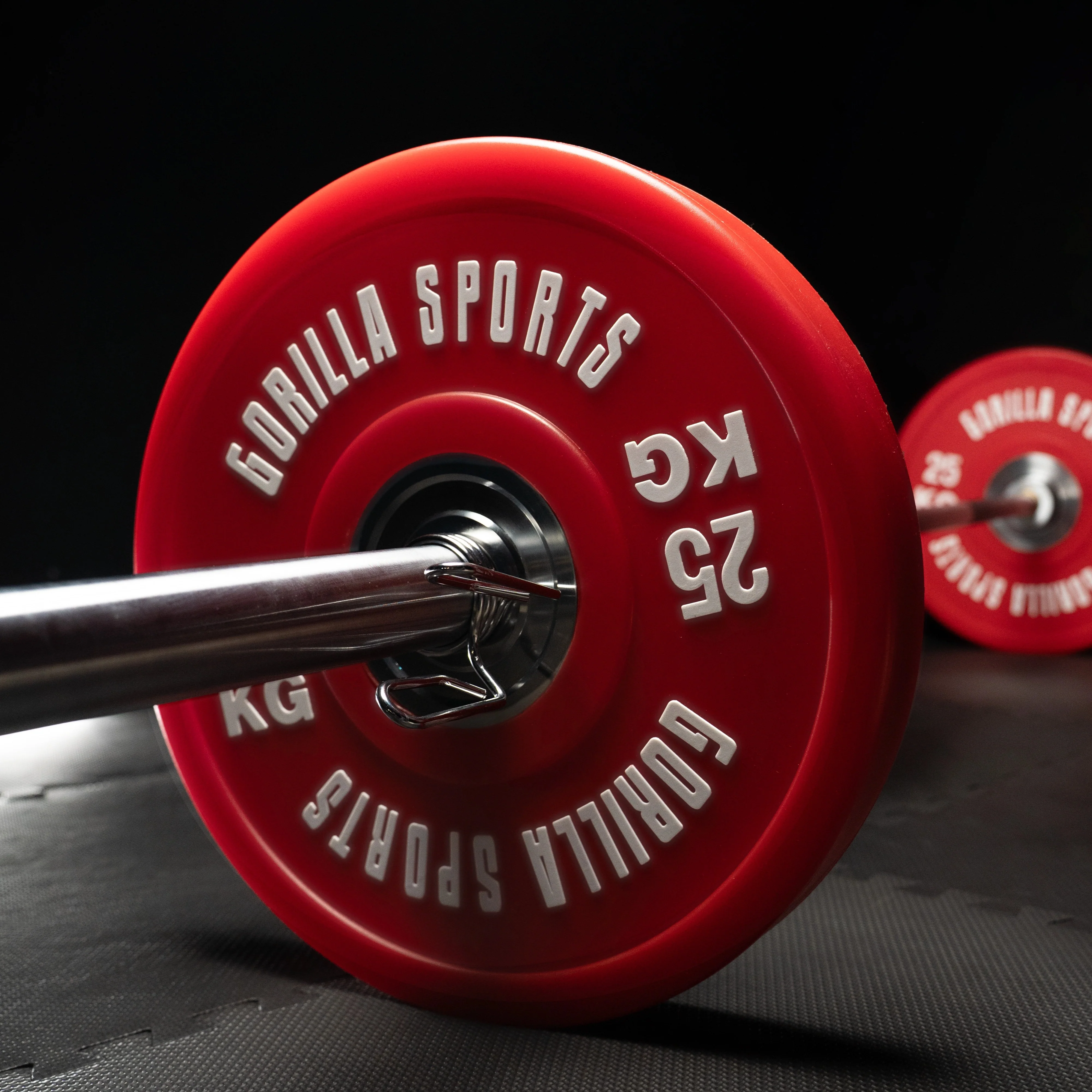 Bumper Plates Profi 50/51 mm 5-25 KG - Image 33