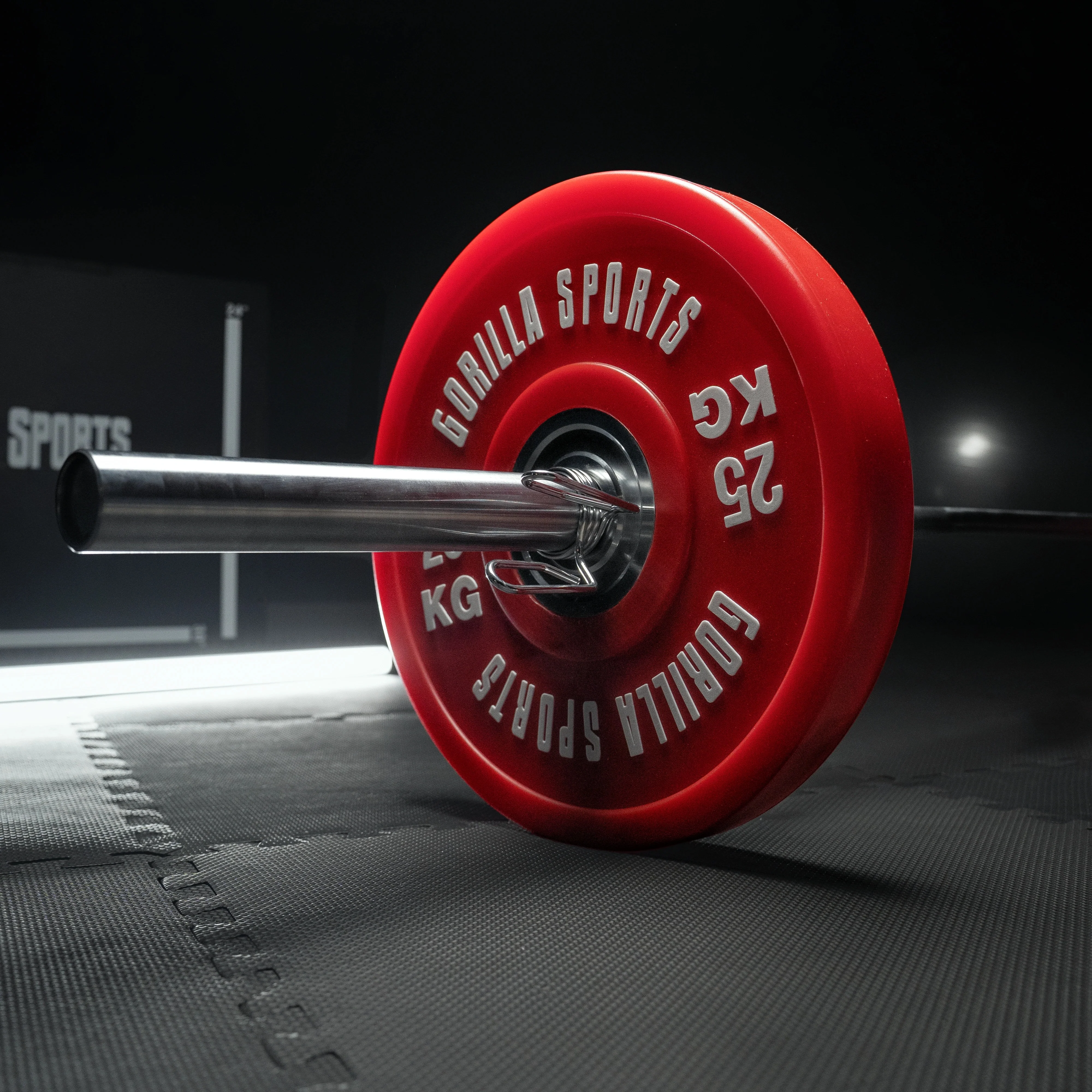 Bumper Plates Profi 50/51 mm 5-25 KG - Image 36