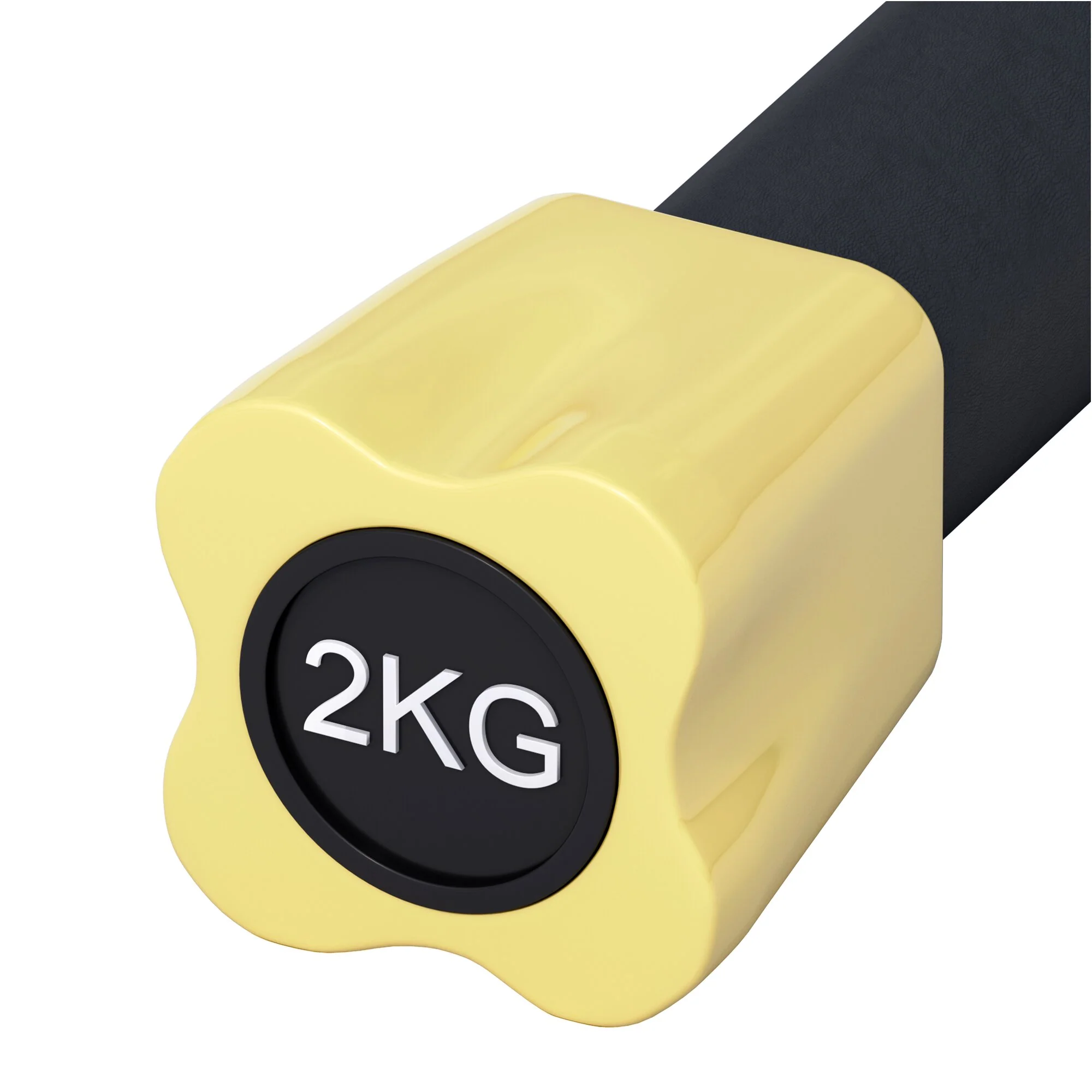 Gewichtsstange Aerobic 1 - 10 kg - Image 63