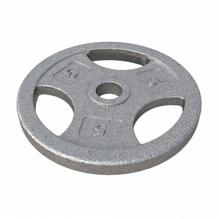 Hantelscheibe Guss Gripper - 2,5-45 lb (1,1-20,4 kg), 1" (25,4 mm), Gusseisen, Silber - Image 24