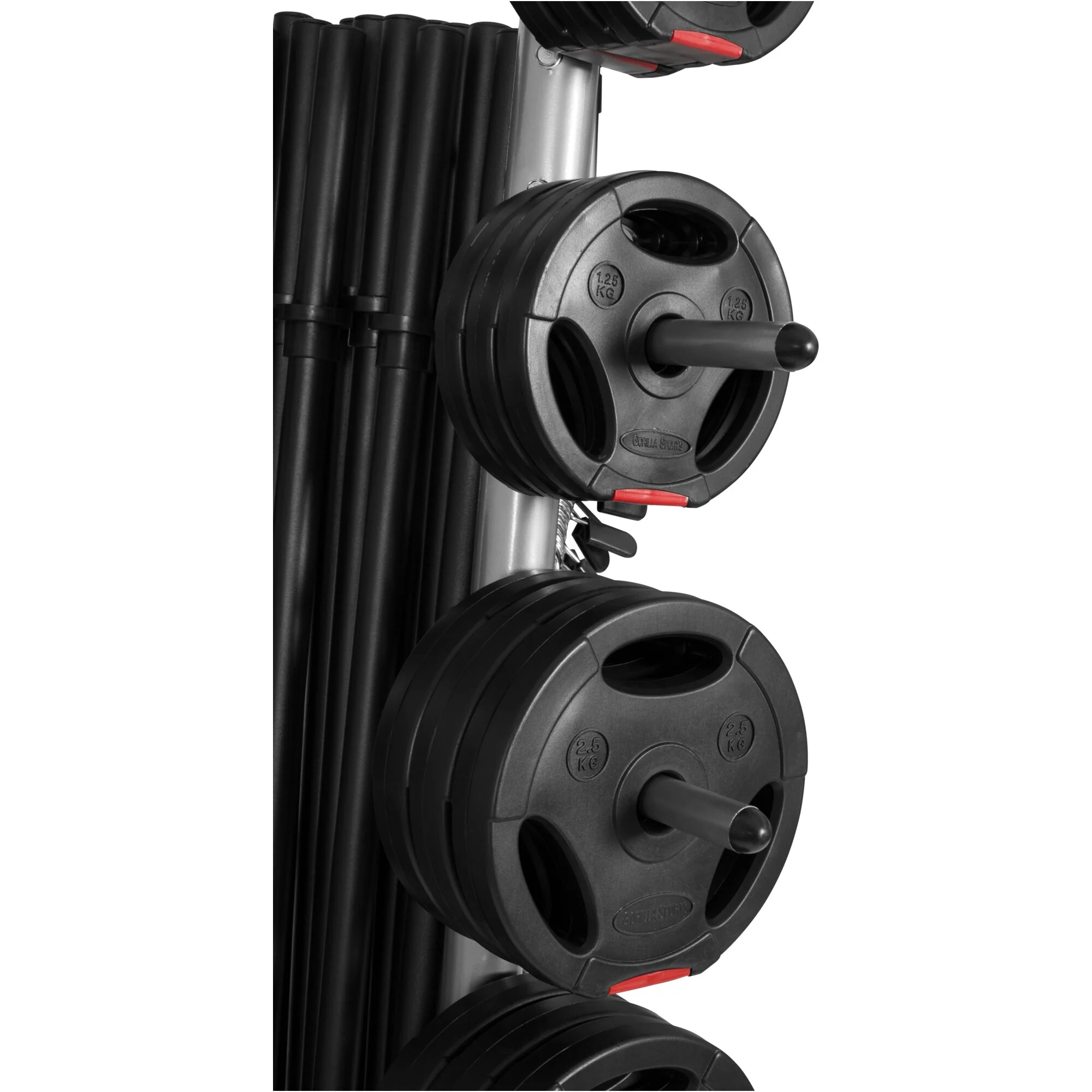 Hantelständer für Hantelstangen und Hantelscheiben 30 mm - Image 6
