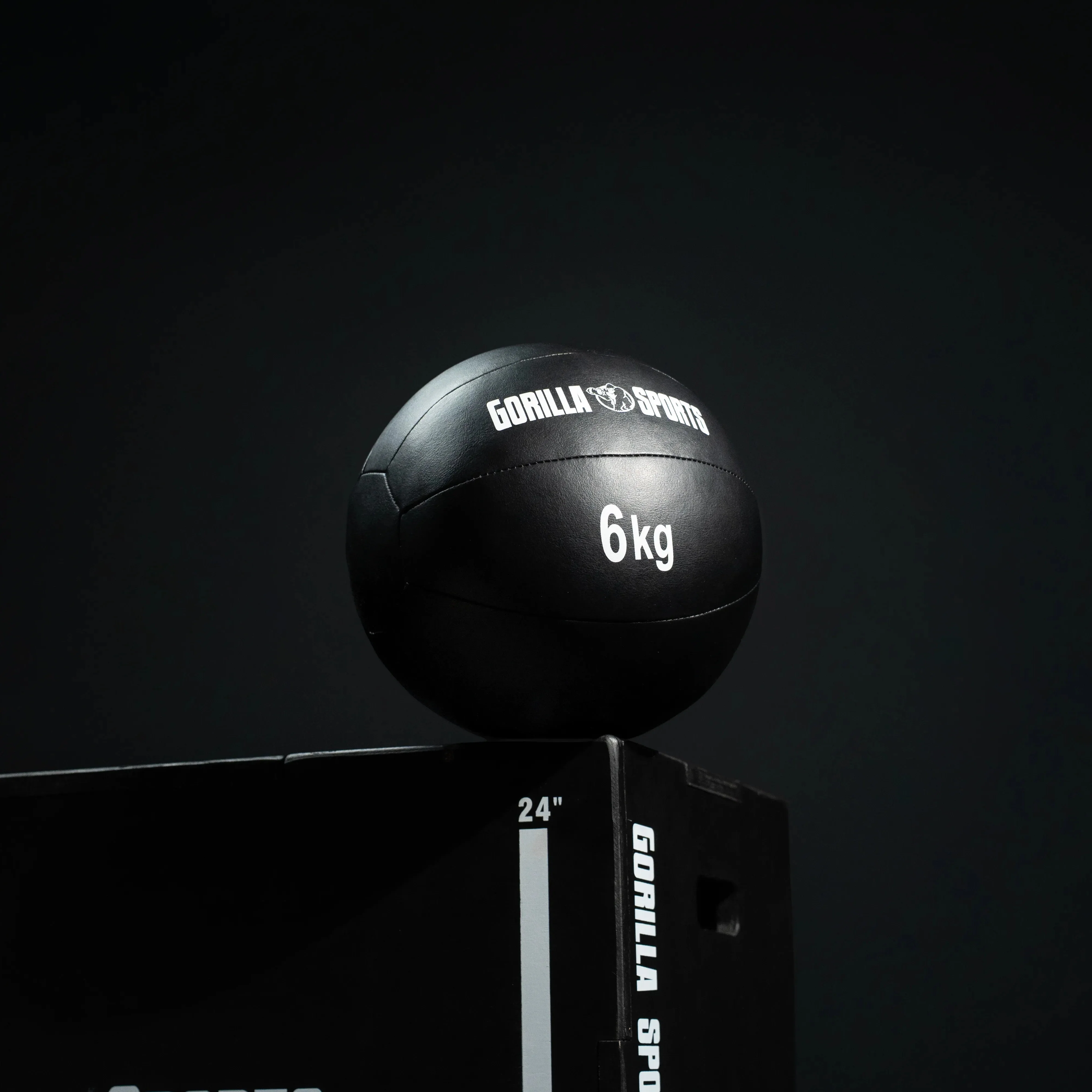 Medizinball aus Leder in Schwarz 1 - 10 kg - Image 3